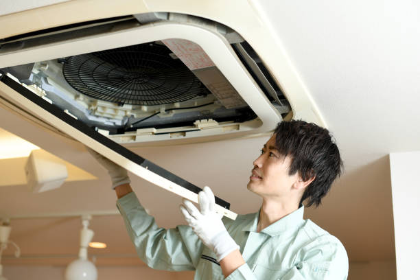 Best Ductwork Cleaning Services  in Fort Meade, FL